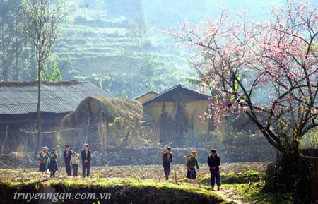 Bản Châng mùa gió lạ