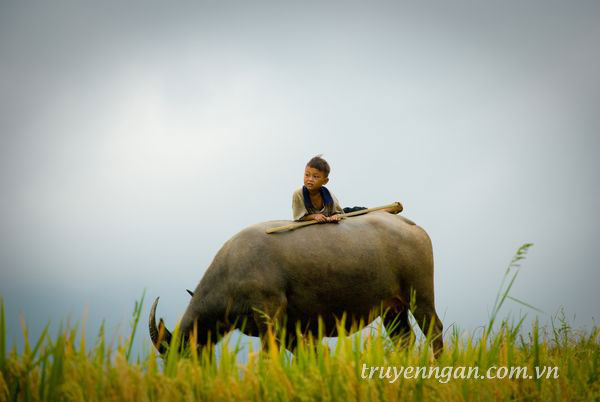 Cần một cái tên