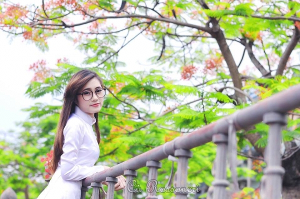 Chia tay mái trường xưa