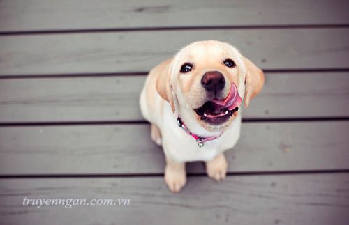 Hãy cho nhau một cơ hội để giãi bày!