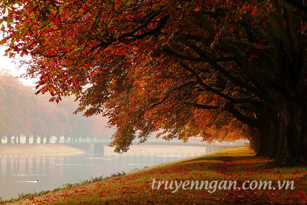 Lời hẹn thề bên sông Rhein