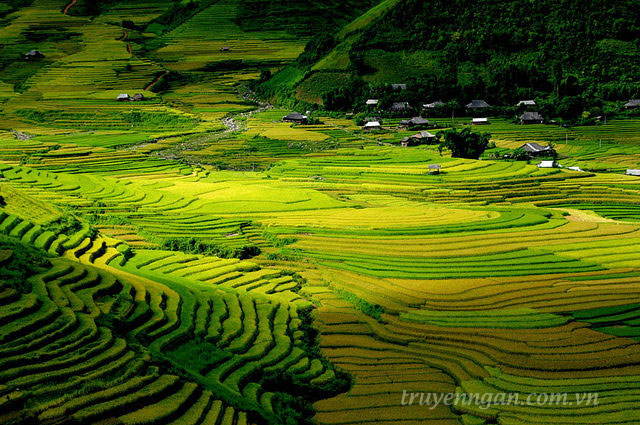 Đem con chữ về bản