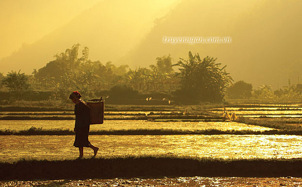 Người chịu tội