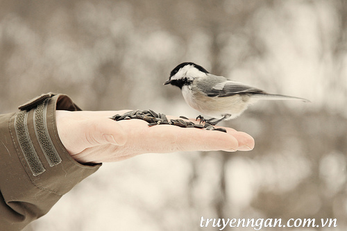 Phép thử giết chết tình yêu
