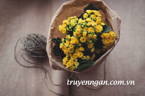 Tạm biệt chàng trai của tôi