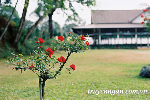 Trở về