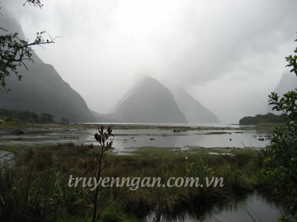 Yêu tinh rừng sâu