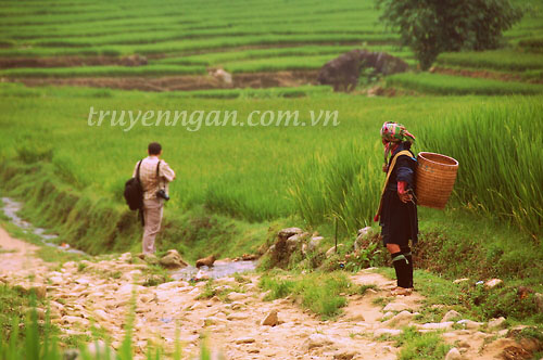 Lạc đầu mùa