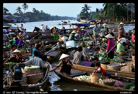 Những hình ảnh thân thương của miền tây