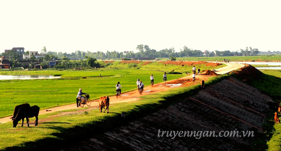 Thơm như mùi...tre ngâm