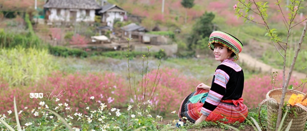 Xuân về trên bản Mèo